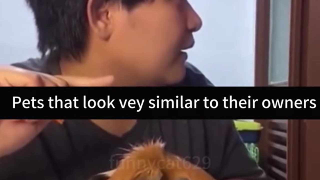 A dog that looks the same as its owner 🐶🤣