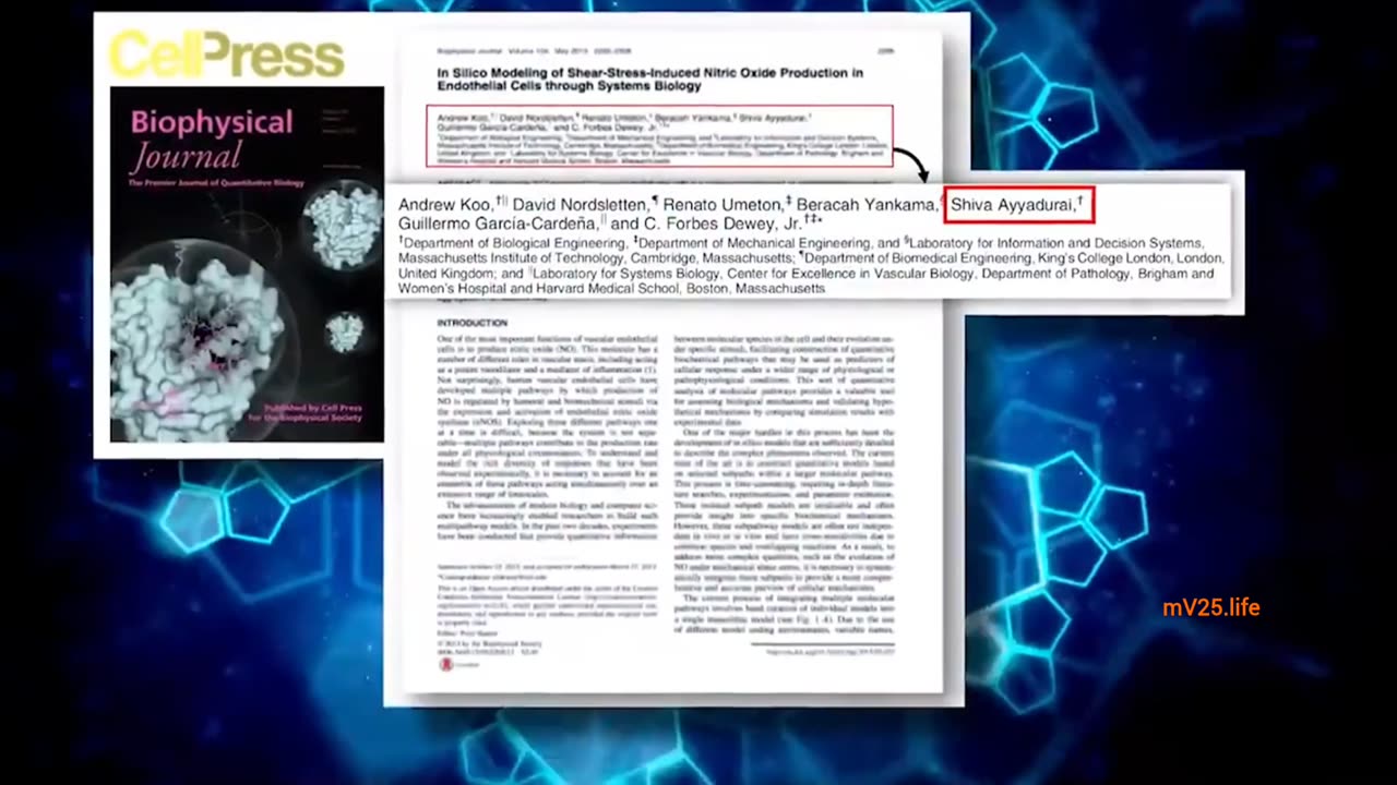 Dr.SHIVA’s mV25™ Boosts Joint Health Naturally