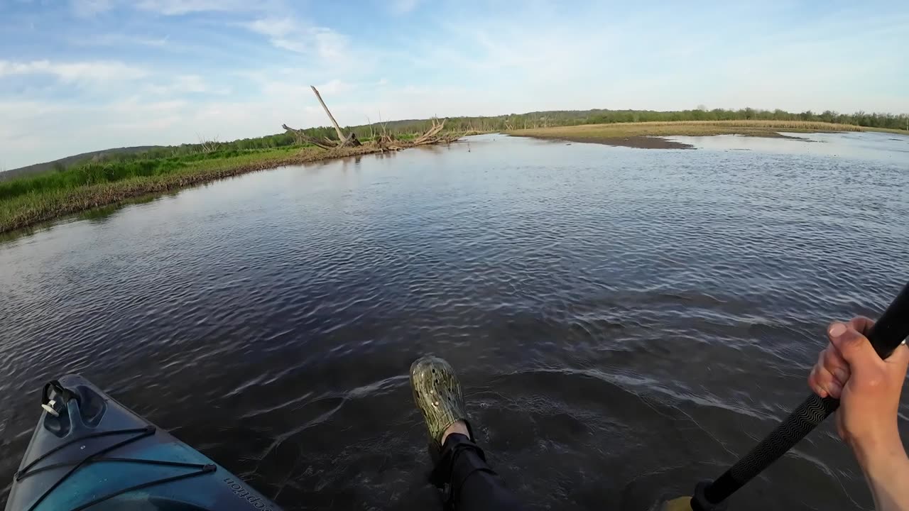 Kayaking and Fishing Conewango Swamp!