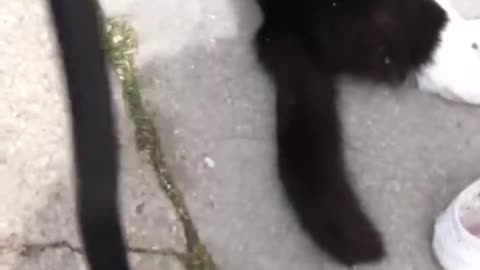 We play with "smudge"