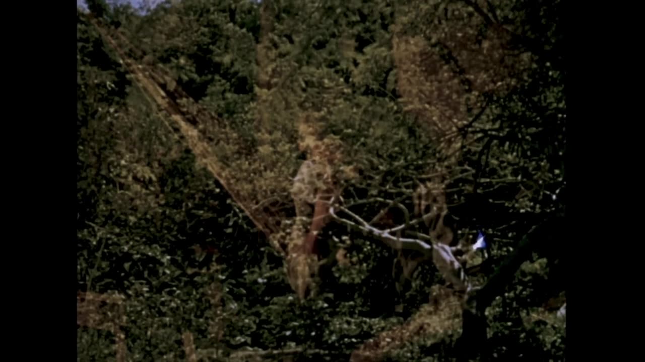 Robinson Crusoe (1954)