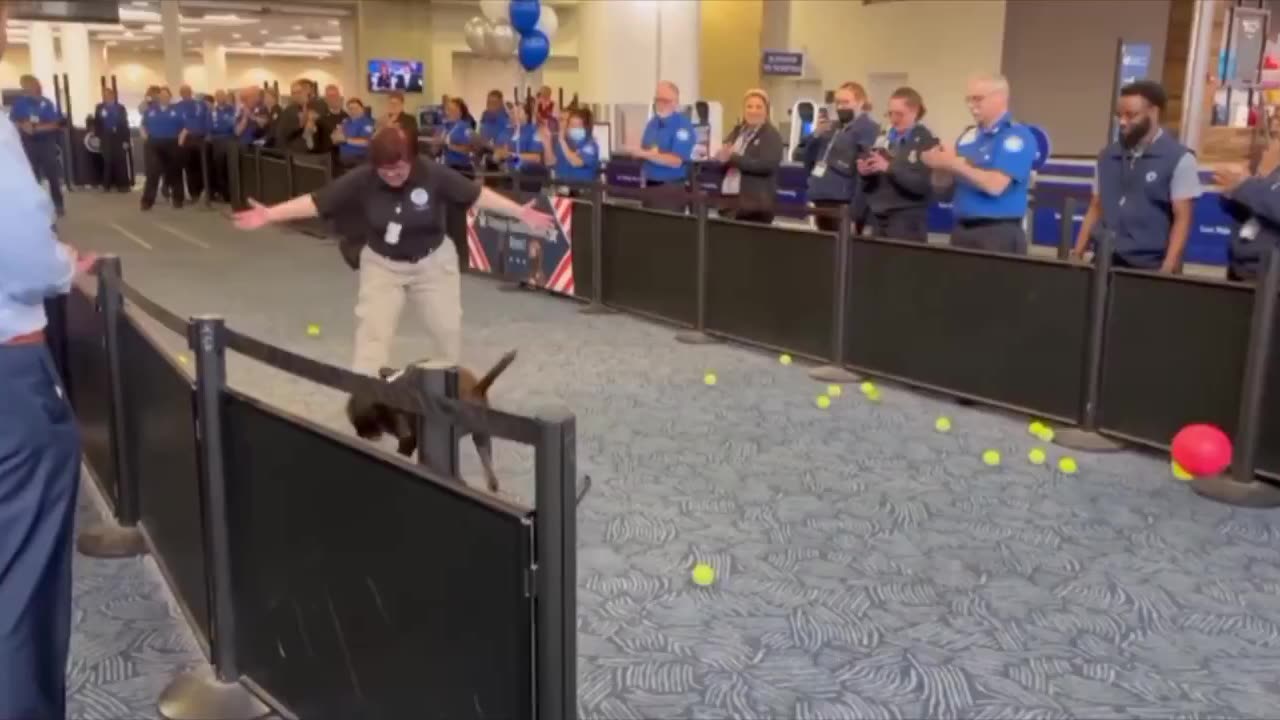 Bomb Dog Retirement Ceremony