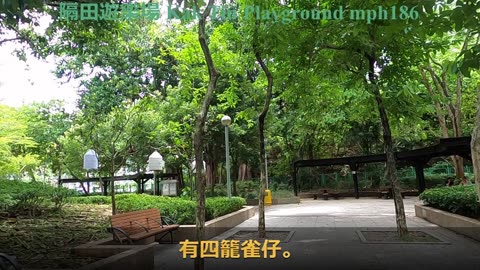 [公園系列] #隔田遊樂場 Kak Tin Playground, mph186 /06 2020