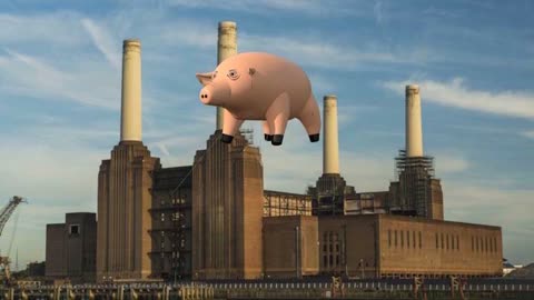 Mark Witten's Quitting Heaven Pigs