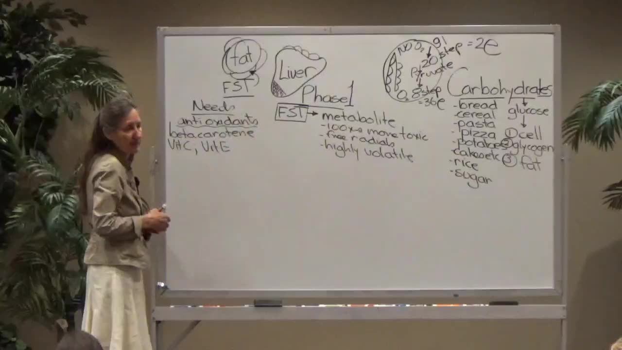 Barbara O’Neill-Detoxification and The Liver Part 3