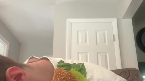 Really Big Sandwich