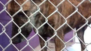 VID_20250829_142726152