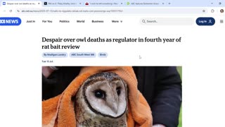 Thoughts on name Falconio, dead owls, and duality of Joanne Lees, Carolina Wilga ordeals