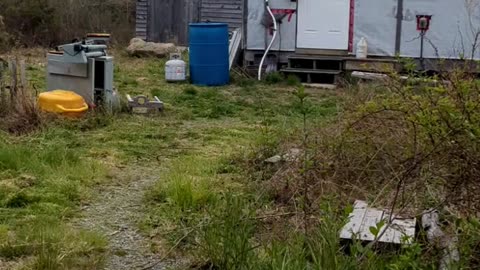Finishing Yard work and starting A Blacksmith shop