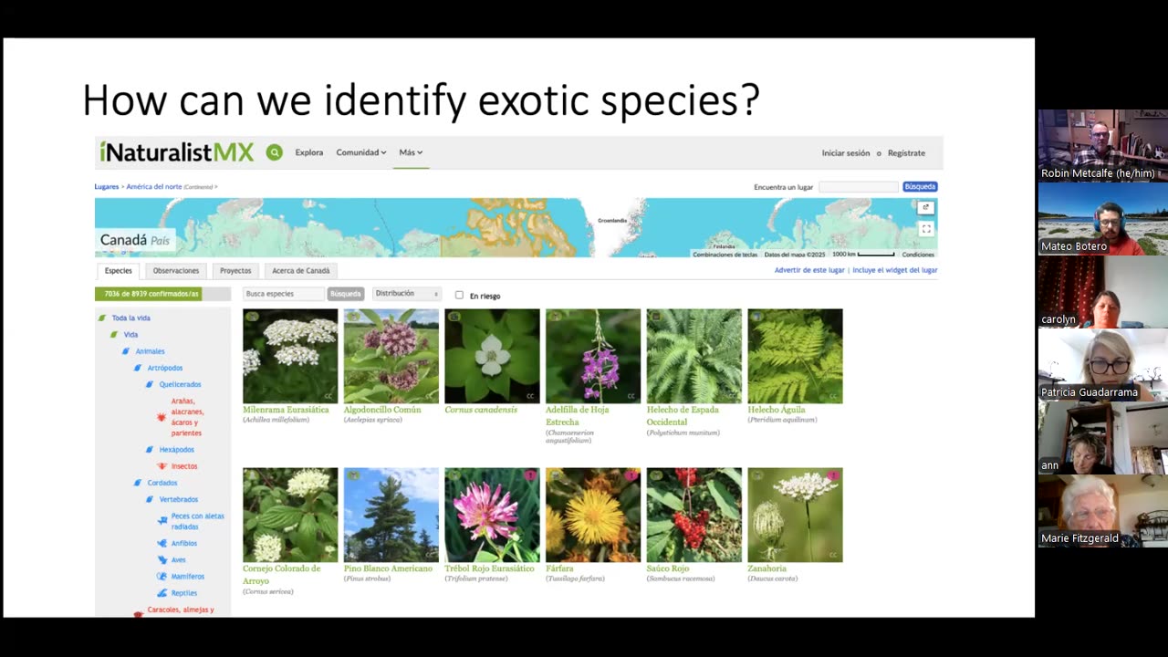 ESCOM Webinars - S.01 Ep.06 - Dunes & Vegetation: How to Identify Beach Plants - Patricia Guadarrama