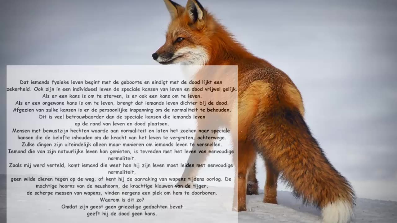 Dat iemands fysieke leven