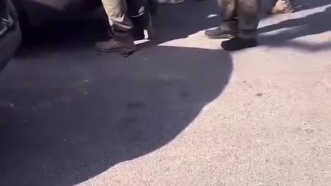 DHS detained a family yesterday in Chicago reportedly while they were Halloween