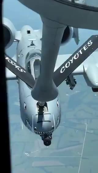 American AF - Not gonna lie, this video is absolute FIRE.. 🔥🔥