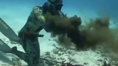 🐙😂 When You Mess with the Wrong Octopus... | FunFM