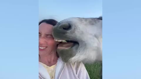 Super Funny Animal Moments 🤣 | Hilarious And CUTE Pet Videos--WOWW