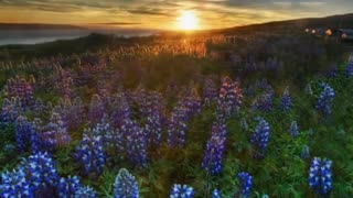 Career Land Surveyor: No curve ever measured - Flat Earth SW22 - Mark Sargent ✅