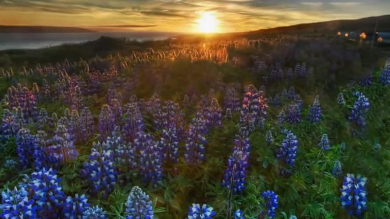 Career Land Surveyor: No curve ever measured - Flat Earth SW22 - Mark Sargent ✅