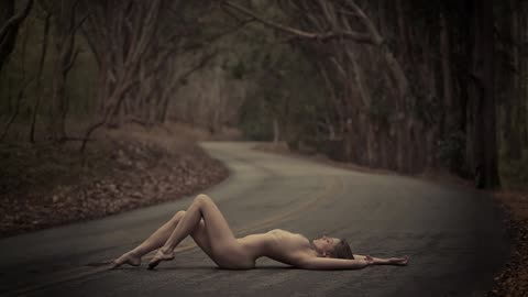 Why Don't We Do It In The Road