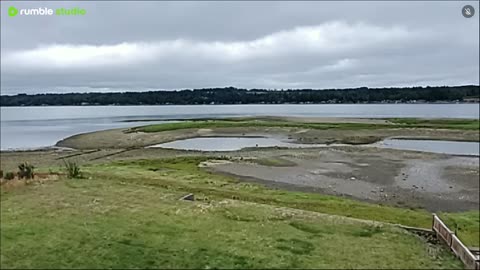Summertime low tide.