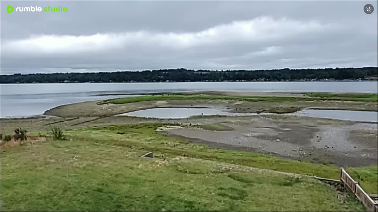 Summertime low tide.