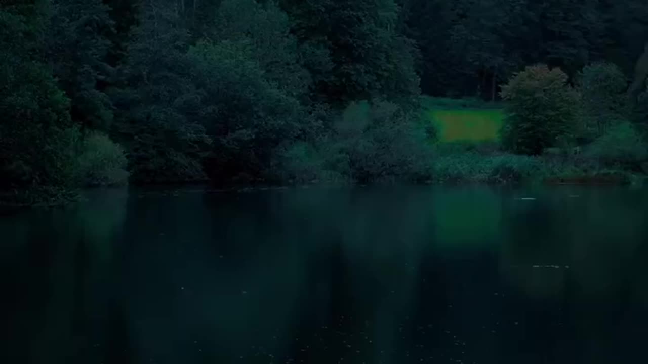Whispers of the Emerald Forest: A Rainy Day Sanctuary