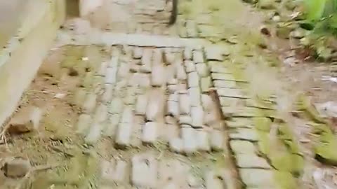 Best Cycle (Follow My Channel)