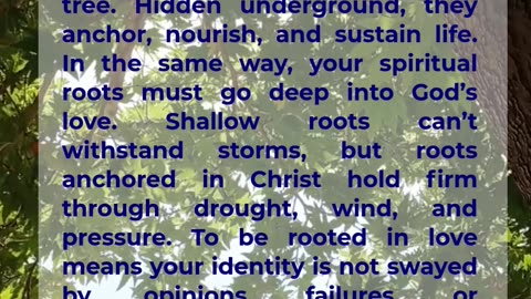 Rooted in Love