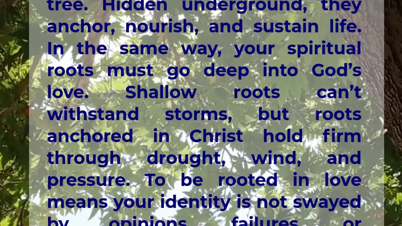 Rooted in Love