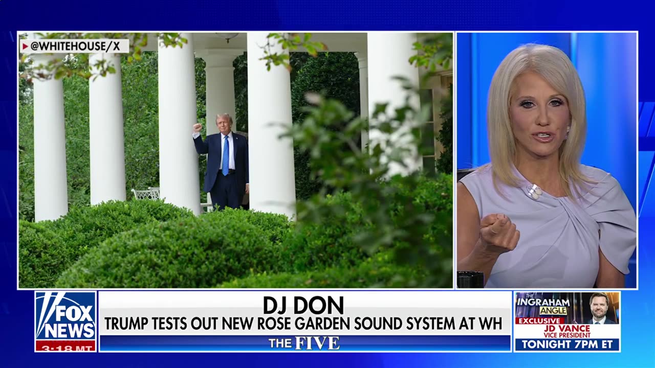 Jesse Watters: There are no 'dads' in the Democratic Party