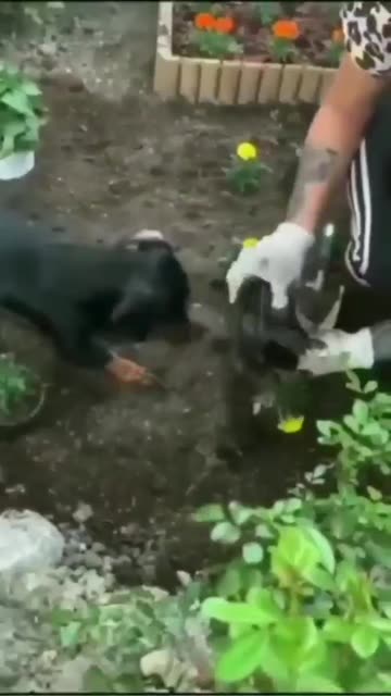 ONLY FEW CAN UNDERSTAND