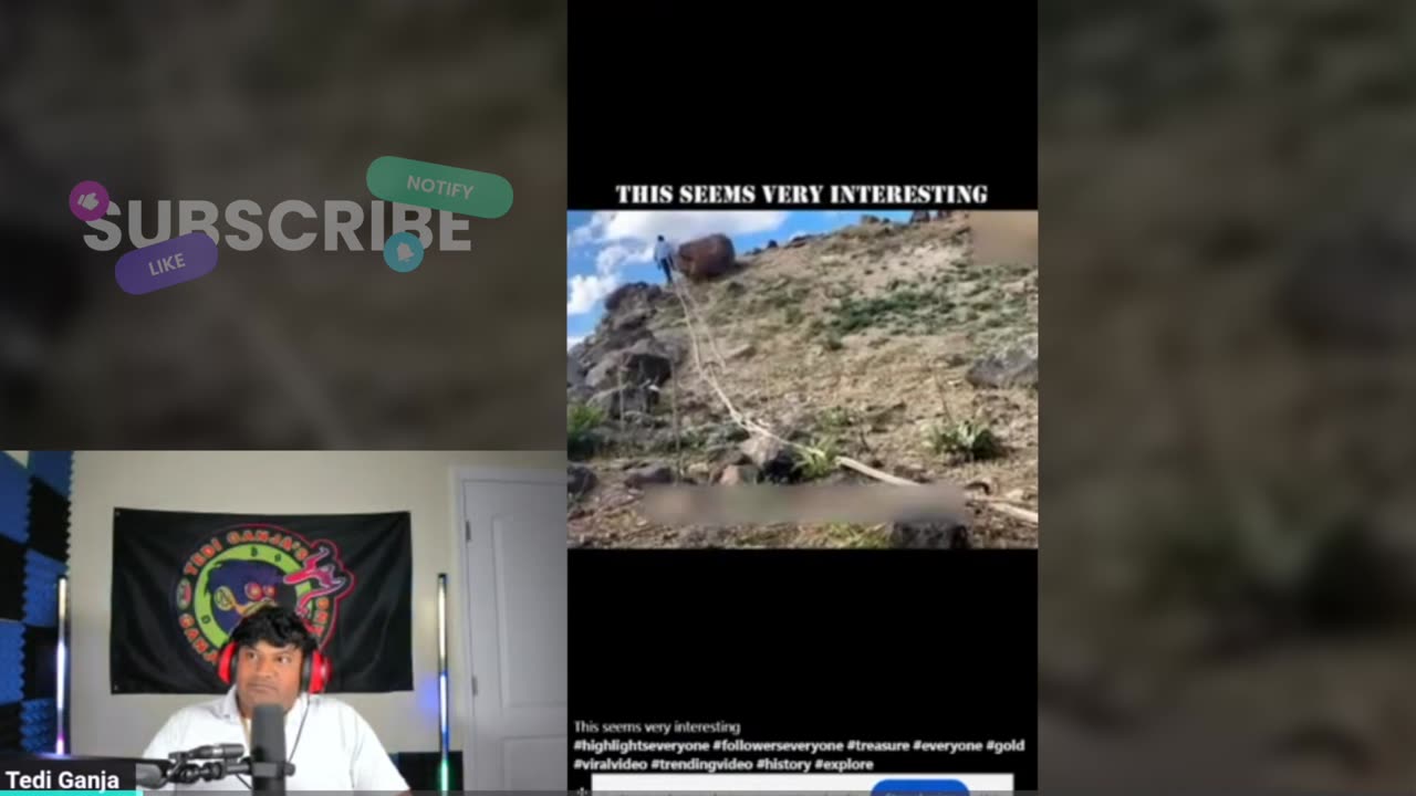 I Can’t Unsee These TikToks from My Stream… | Livestream Reaction Cut (pt. 2)
