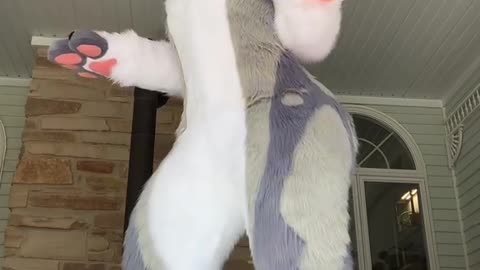 .