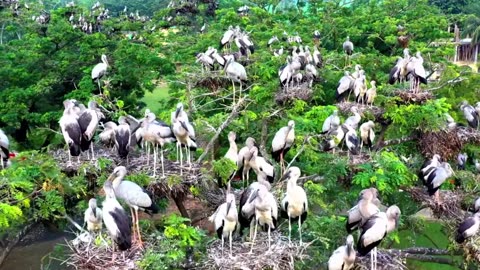 Lo-Jazz House Relaxation Mix