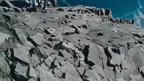 All Terrain Travel