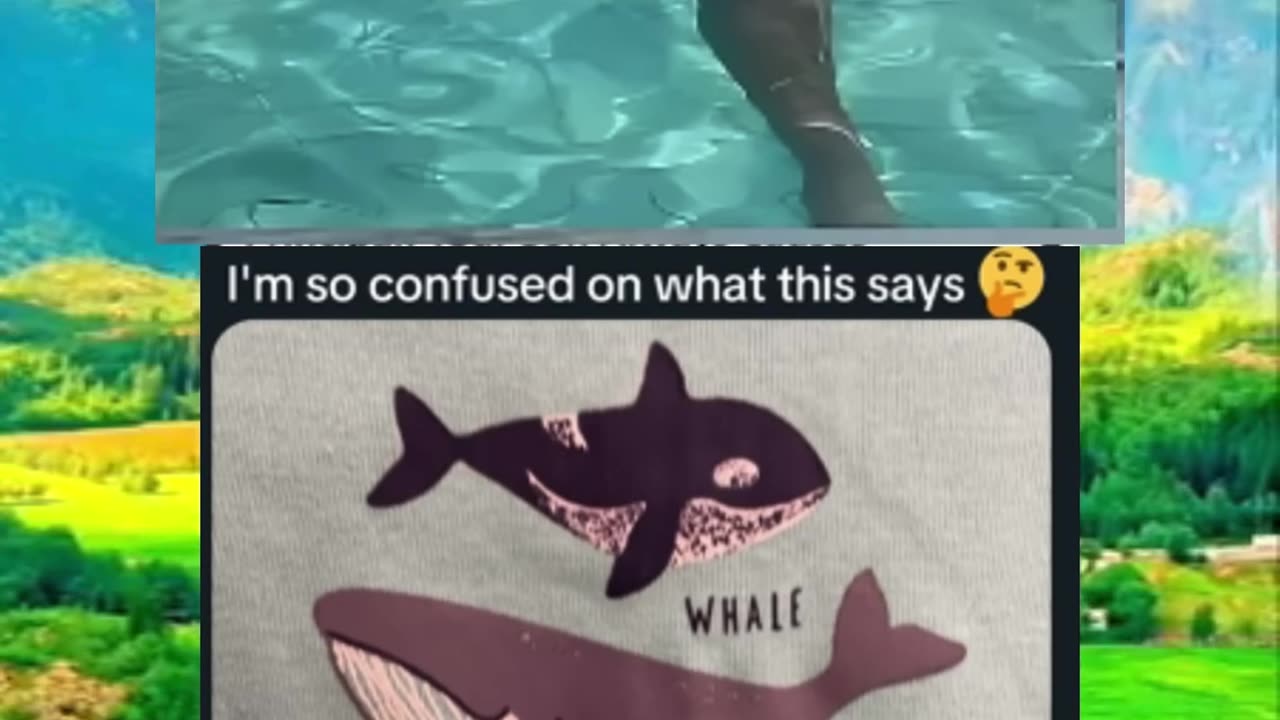 Memes of the day | funny memes | #funny