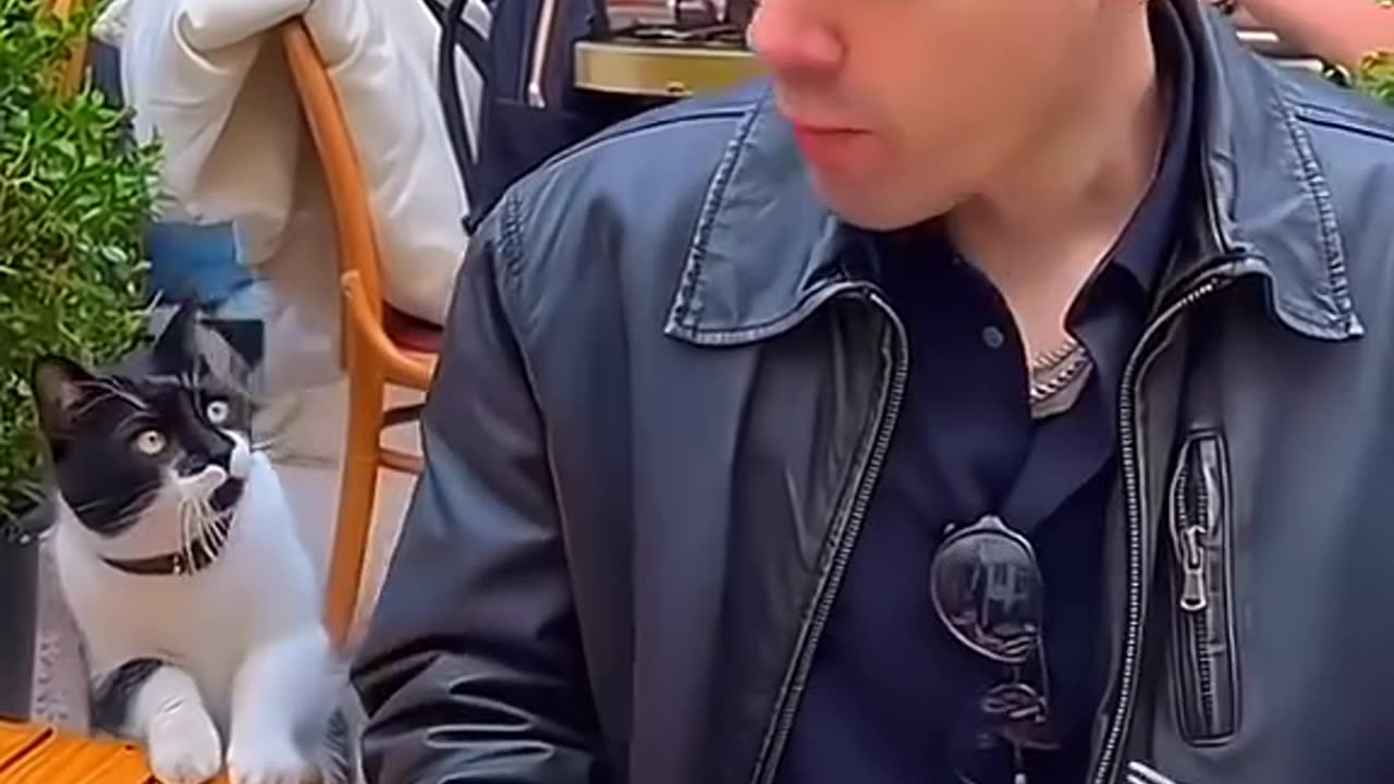 Funny video