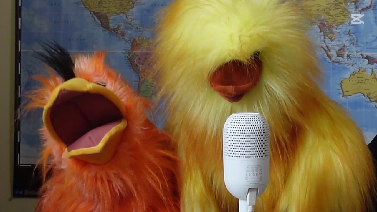Puppets Sing For Racial Unity