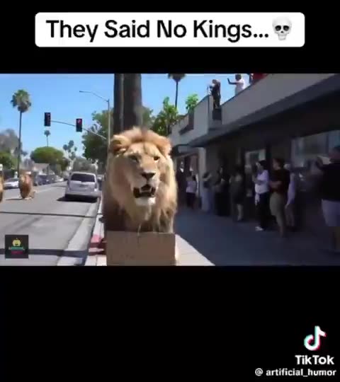 Lions are offended at the No Kings movement. LOL