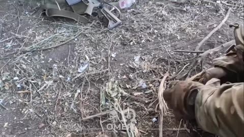 Oink! Noha! Noha! Aaaah!