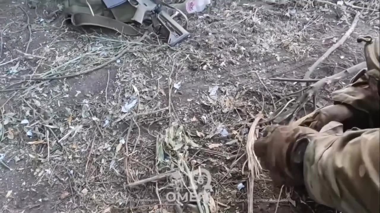 Oink! Noha! Noha! Aaaah!