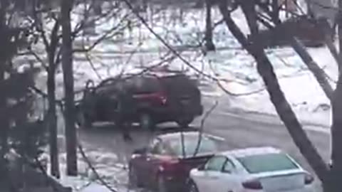 'MN Mom' Liberal Narratives Destroyed as New 'Dancing Car Horn' Video Emerges