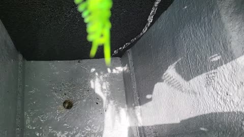 Filter Box Cleaning