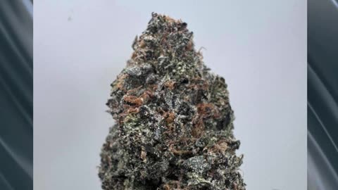 THCa 30% Hybrid | Sweet Candy & Pine Gas | Euphoric, Relaxed, Creative | Bulk #thca