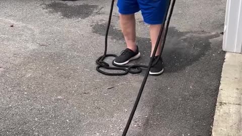 😂🌸 Pollen Be Gone! Wait For The Hilarious Reaction | FunFM