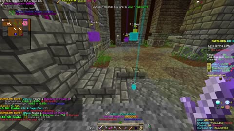 Skyblock FLOOR 7 [#2456]