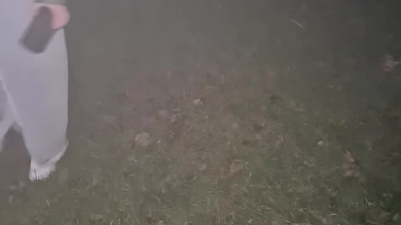 Unexpected Wind Blows Father's Ashes Away