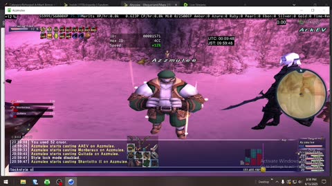 Playing Final Fantasy XI Online