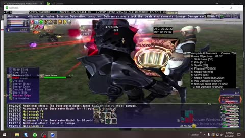 Playing Final Fantasy XI Online