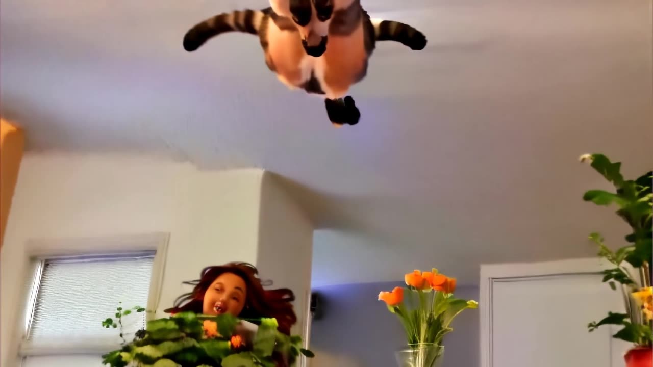 watermarked.mp4