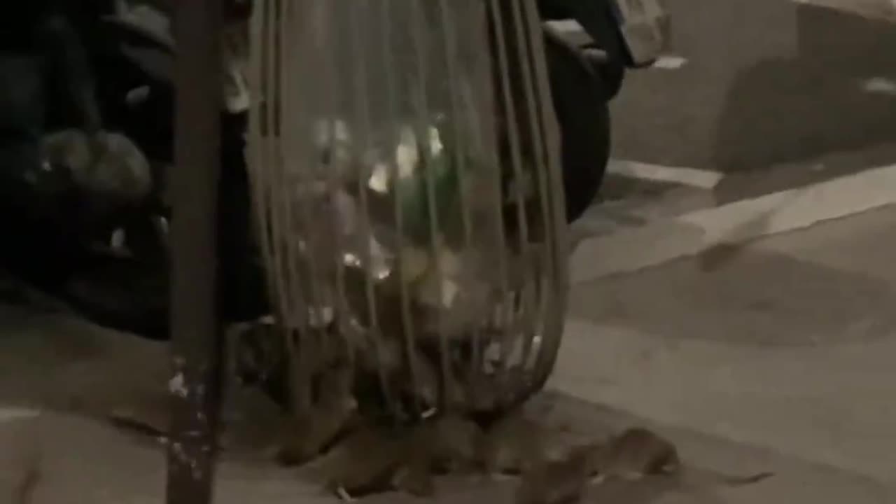 Paris is always very romantic.